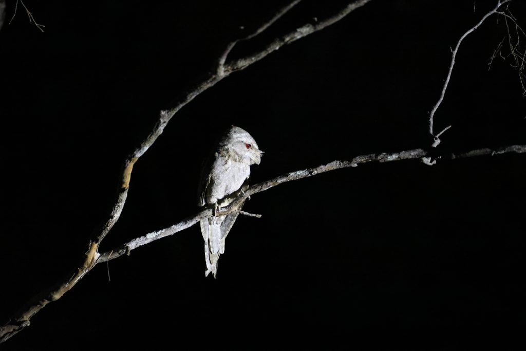 WAVES Testing, Research and Consulting - Light Impact Assessments